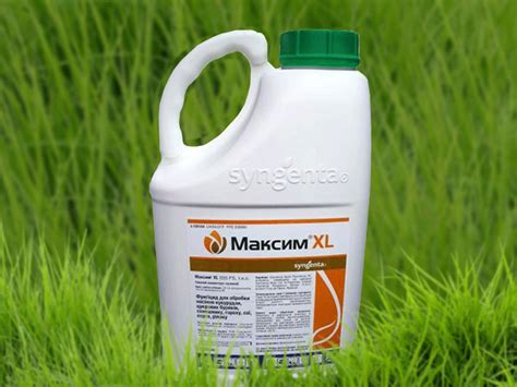 Протравитель Мaкcим XL 035 FS для соя, подсолнечника, кукуруза, гороха ...