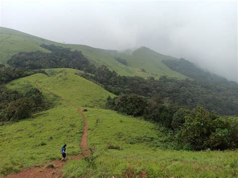 Mookambika Wildlife Sanctuary Kodachadri in the city Kollur