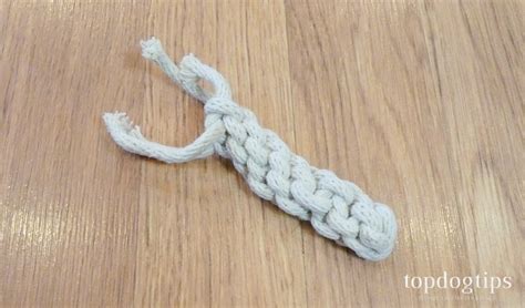 DIY Dog Rope Toy: 3 Cheap Ideas – Top Dog Tips