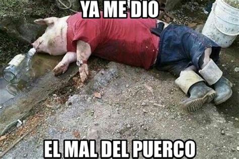 Acabas De Comer Y Ya Te Dio El Mal Del Puerco Una Experta Te Lo