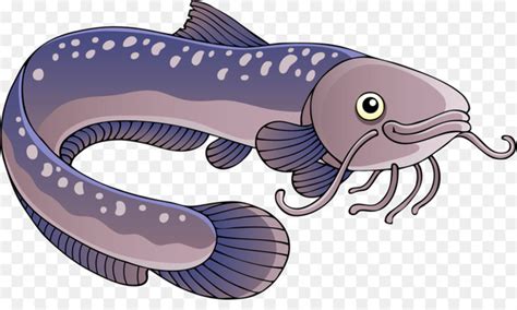 Free Electric Eel Clip Art Eel Nohat Cc Clip Art Library