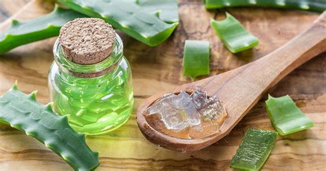 Top Uses Of Aloe Vera Gel For The Face