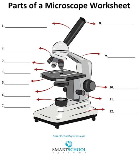 Stereo Microscope Parts Diagram Microscope Stereo Dissecting