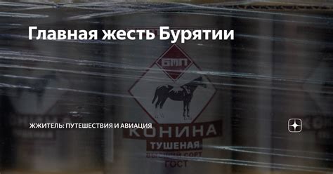 Главная жесть Бурятии | ЖЖитель: путешествия и авиация | Дзен