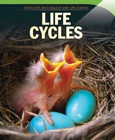 Book Farm LLC Nonfiction Books Life Cycles 17