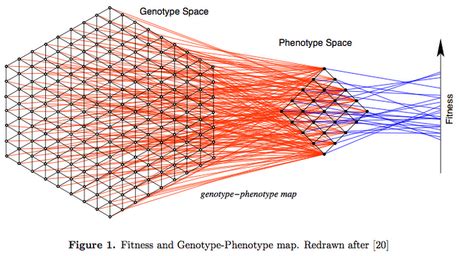 genotype phenotype maps  mathy biology paperblog