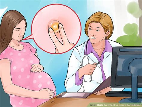 How To Check A Cervix For Dilation 15 Steps With Pictures