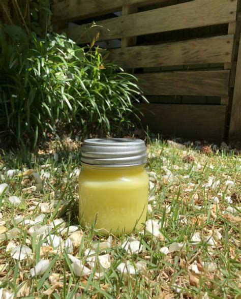 scents product categories wax candle company