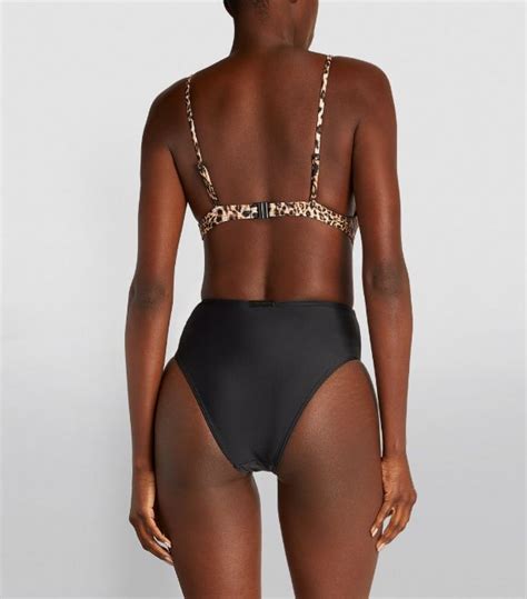 Womens Allsaints Brown Leopard Print Petra Kiku Swimsuit Harrods Uk