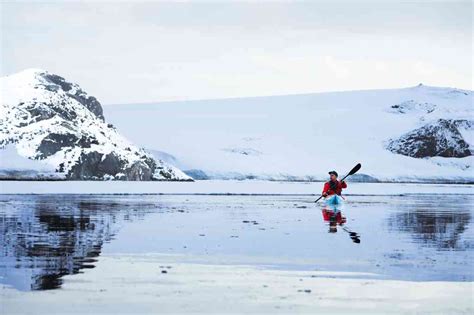 Falklands South Georgia Antarctic Peninsula Bunnik Tours