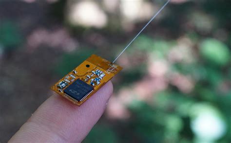 Tiny ‘Backpack’ Computers Developed to Track Wild Animals in Hard-to