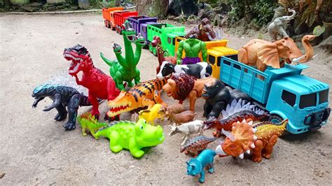 Wow Mantul Truk Oleng Angkut Sapi Buaya Dinosaurus King Kong