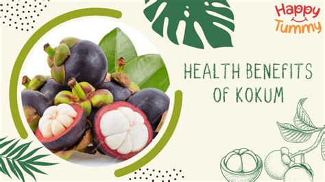 Kokum Fruit's Amazing Health Benefits: A Wonder Wellbeing - Happytummy