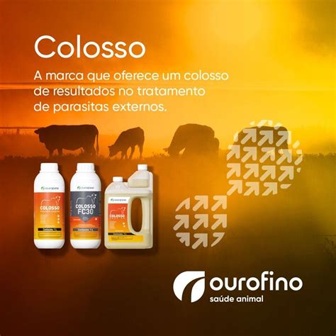 Colosso Pour On Ouro Fino Agrocampo Giordani Produtos Veterin Rios E