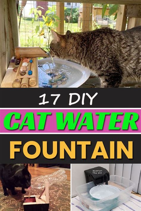 17 Diy Cat Water Fountain Cat Water Fountain Cat Diy Cat Fountain