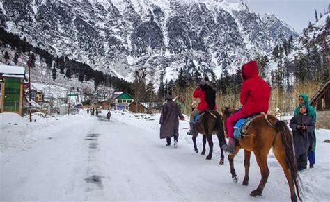 Horse Riding In Kashmir Best Places For Horse Riding In J And K