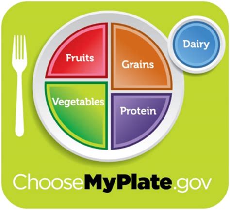 Chapter 14 Nutrition And Fluid Balance Flashcards Quizlet