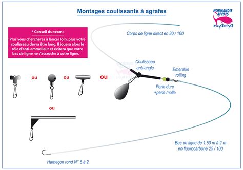 Débutez en pêche à la calée Normandie Appâts