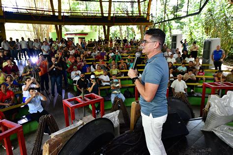 Manaus Agro David Almeida Entrega Mais De 100 Mil Mudas De Maniva De