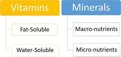 Difference Between Vitamins and Minerals (with Comparison Chart) - Bio ...