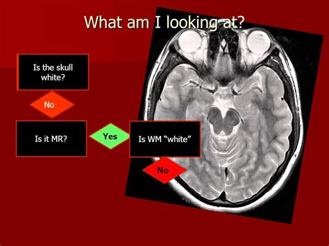 Introduction to Imaging: What am I looking at? - YouTube