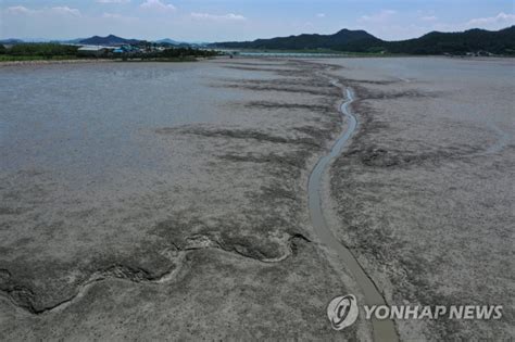 세계유산 한국 갯벌 체계적 관리 체계 마련 노컷뉴스