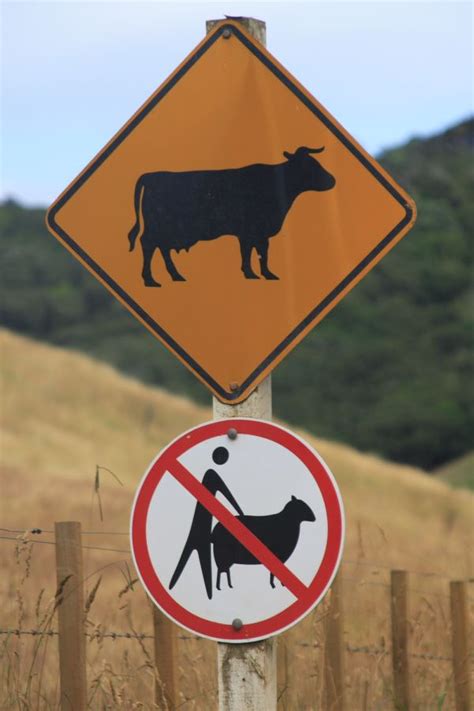 Funny Road Signs 25 Pics