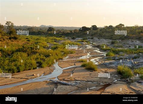 South Africa, Mpumalanga, Kruger National Park Stock Photo - Alamy