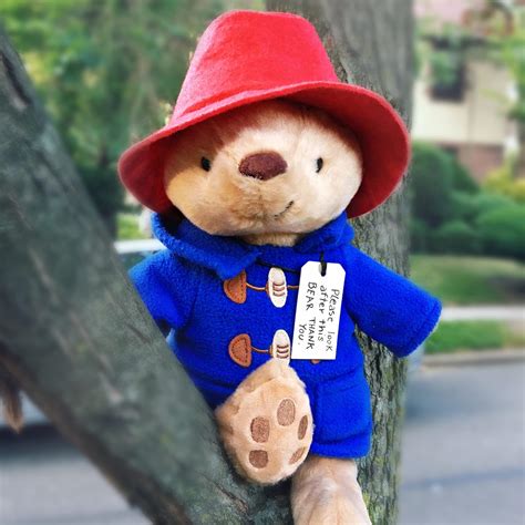paddington bear stuffed animal 9