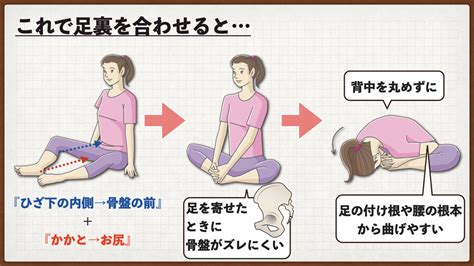 【股関節の硬さとる】足裏合わせて前屈しづらい原因と解消するための体の使い方｜合蹠ストレッチのコツ バレエダンサーさんの治療院