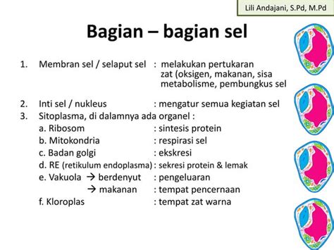 Organisasi Kehidupan Ppt