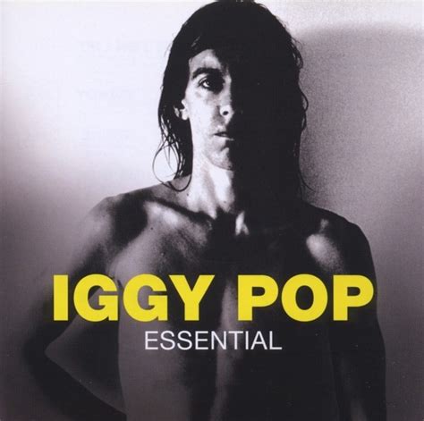 Essential Cd Iggy Pop Cd Album Muziek Bol