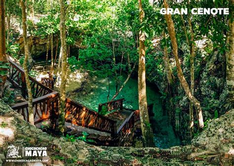 Los Mejores Cenotes En Tulum Visitalos Todos