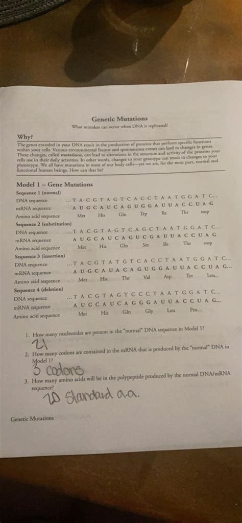 How Many Nucleotides Are Present In The Normal Dna Sequence