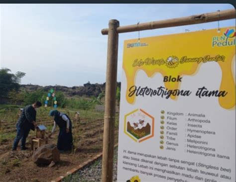 Binaan Pln Di Garut Dan Banyuwangi Raih Penghargaan Csr Pdb Award