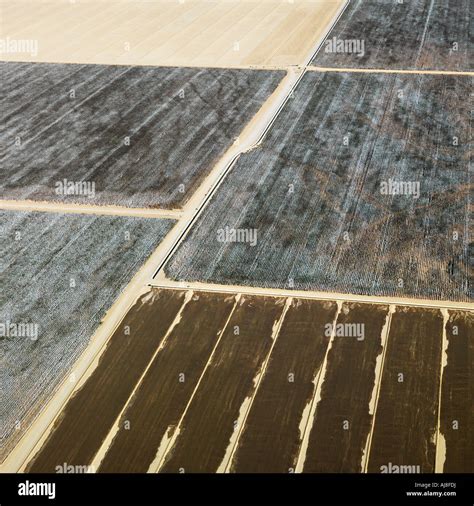 Aerial View Of Agricultural Cropland In Arizona Stock Photo Alamy