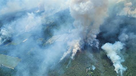 Aerial Photos of New Jersey's Largest Wildfire in 15 Years | The ...