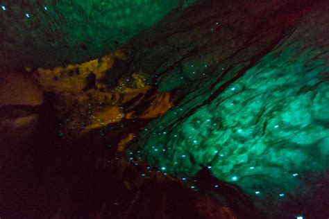 180+ Waitomo Glowworm Caves Stock Photos, Pictures & Royalty-Free ...