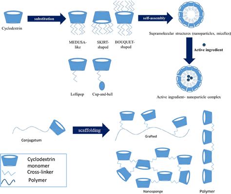 Frontiers Cyclodextrin Nanoparticles For Diagnosis And 51 Off