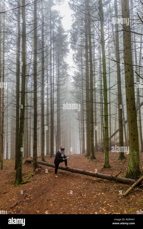 Ardennes forest map hi-res stock photography and images - Alamy