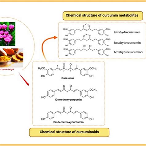 Turmeric And Chemical Structure Of Curcuminoids And Curcumin