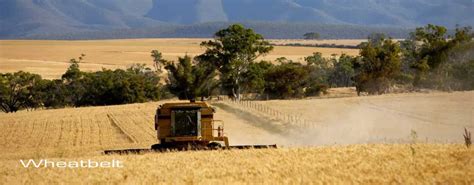 Western Australia For Everyone Wheatbelt