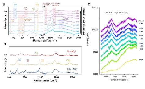 Figure S26 High And Low Frequency Raman Spectra Under Typical C S