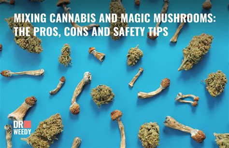 Mixing Cannabis And Magic Mushrooms Understanding The Effects Risks