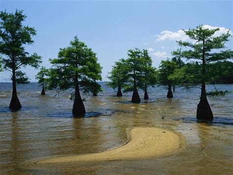 plains  plains  national geographic