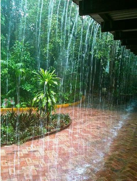 Lluvia De Verano Me Encanta Ver Llover Y El Olor A Tierra Mojada