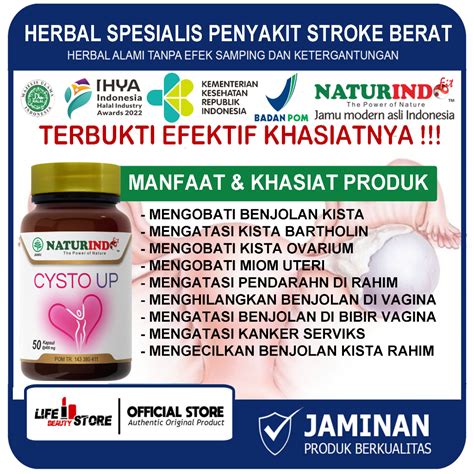 Jual Obat Kista Miom Paling Ampuh Kista Ovarium Bartholin Endometriosis