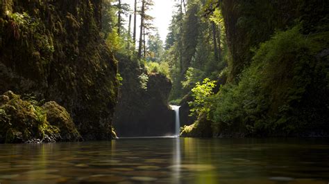 Trees Fall River Landscape Nature Pond Water Rocks Moss Hd