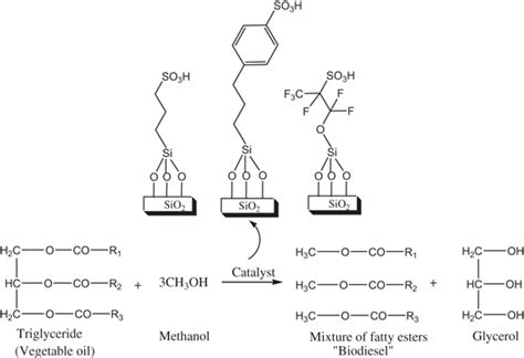 Transesterification Of Triglycerides With Methanol In The Presence Of