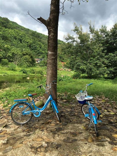 Free Images Tree Trail Bicycle Vehicle Relax Natural Couple